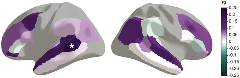 Why Your Brain Reacts to a Raga Completely Differently Than a Pop Chord Progression
